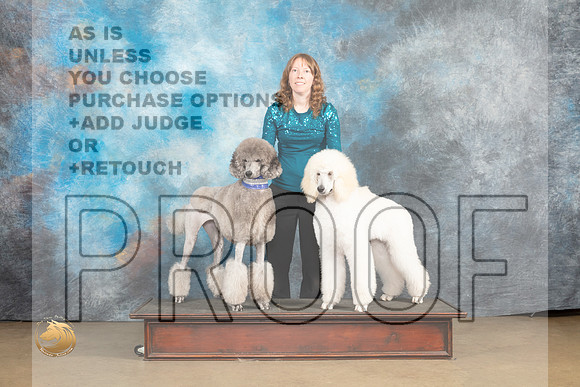 Poodles Std #250 Sun_MJ_0004_UKCLvwfeb23_HR3