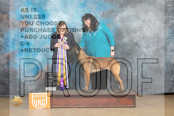 Belgian Malinois #128 Sun BIS Judge Debbie Mitchell_MJ_0029_UKCLvwfeb23_HR3
