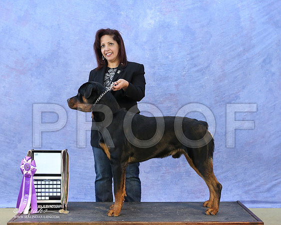 Rott-5528-LR