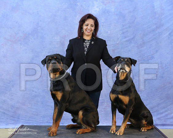 Rott-5532-LR