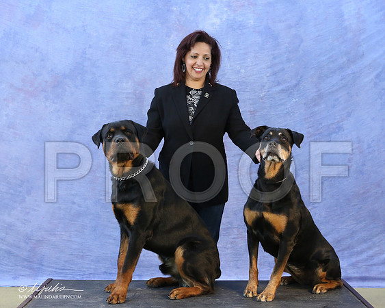 Rott-5533-LR
