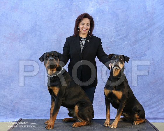 Rott-5534-LR