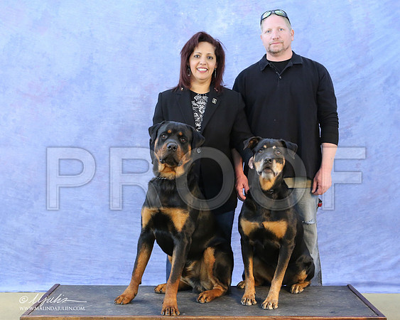 Rott-5543-LR