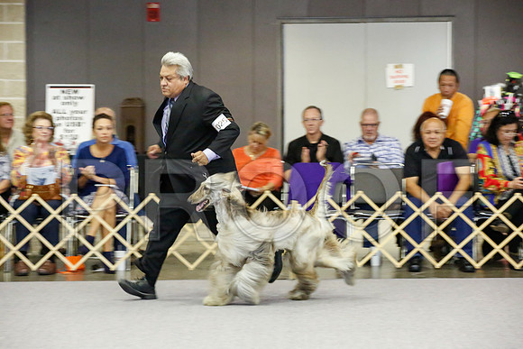 _JJ_0805-AfgBeltonOct2014-HR3