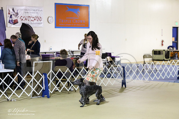 Stump-1971-LR