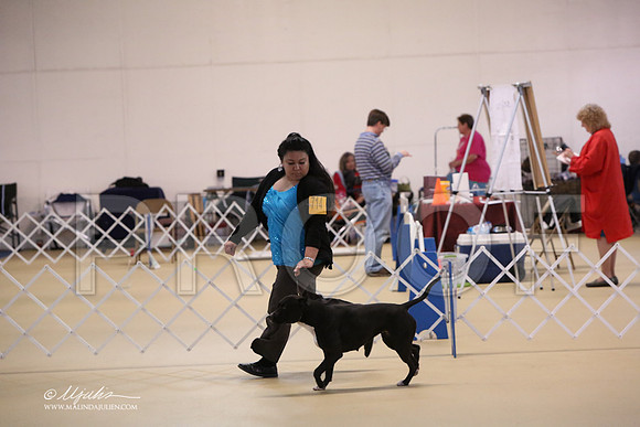 TerGrp-3217-LR