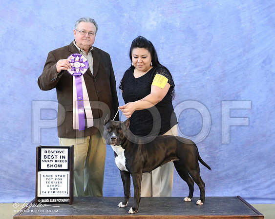 APBT-6204-LR