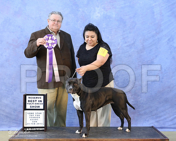 APBT-6208-LR