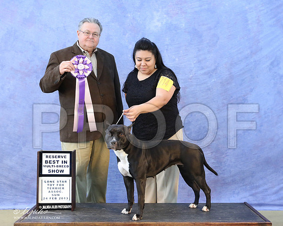 APBT-6211-LR