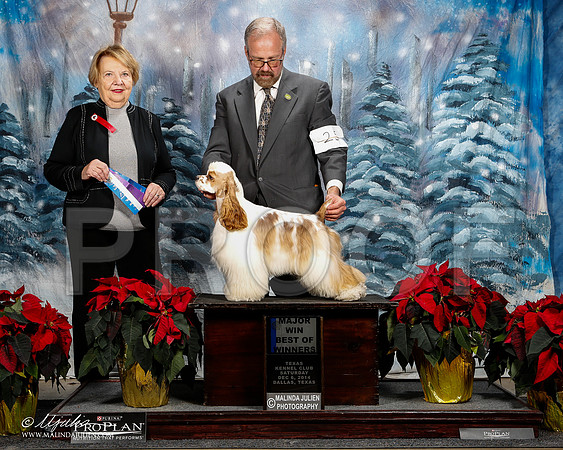 _ST_8932-2-DallasDec2014-HR3