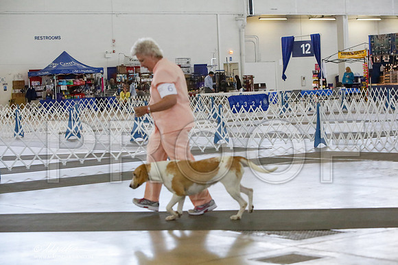 _HR_4631-DallasJul2014-HR3