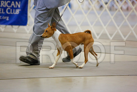 _JJ_3504-AmarilloSept2014-HR3