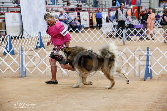 _HR_7919-TxArJun2014-HR3