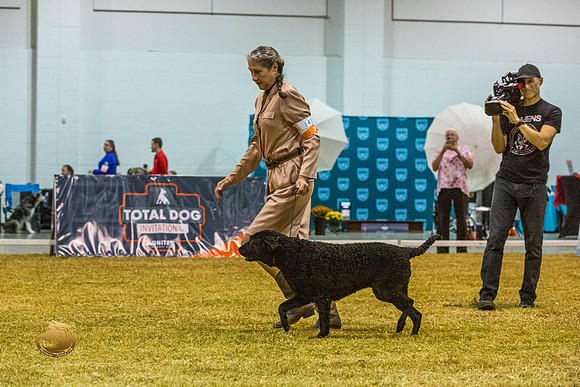 Curly Coated Retriever #143 SatJJL_2874_Shreveport_2022_HR3