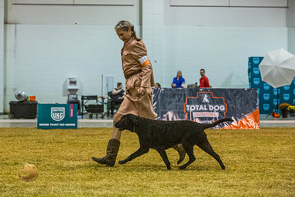 Curly Coated Retriever #143 SatJJL_2877_Shreveport_2022_HR3
