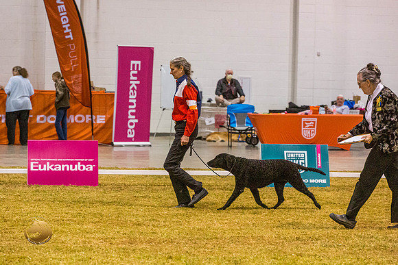 Novice C #143 ThursJJL_5788_Shreveport_2022_HR3