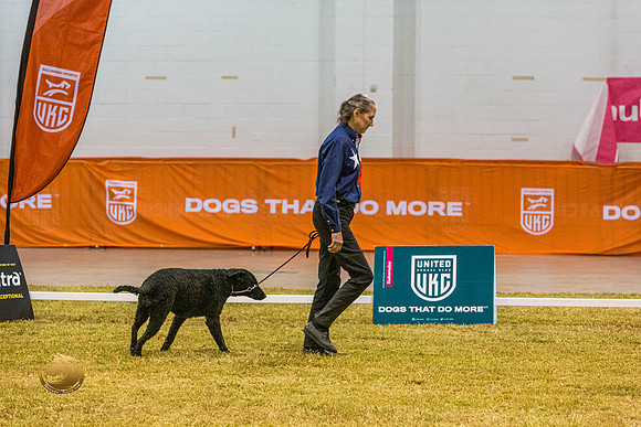 Novice C #143 ThursJJL_5793_Shreveport_2022_HR3
