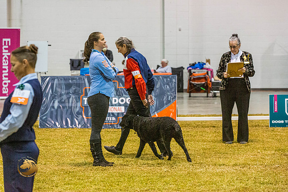 Novice C #143 ThursJJL_5800_Shreveport_2022_HR3
