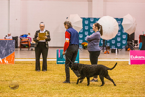 Novice C #143 ThursJJL_5808_Shreveport_2022_HR3