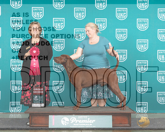 Redbone Coonhound #1234 Fri G2 Judge Carianna Glenn_JP_1682e_Premier_2024-HR3