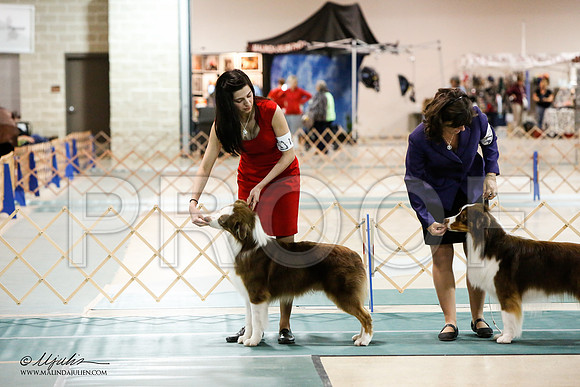_JJ_8213-ASCACollegeStationNov2014-HR3