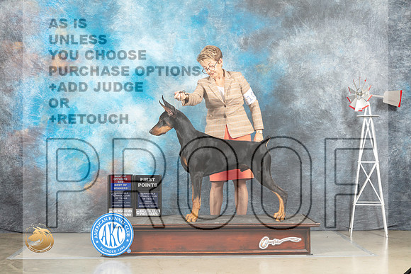 Doberman PInscher #5 Fri WDBOW Judge Sharon Derrick_MJ_3879_Amarillo_2022_HR3