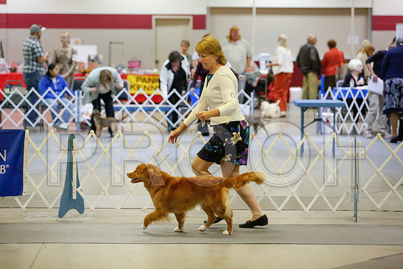_JJ_6299-AmarilloSept2014-HR3