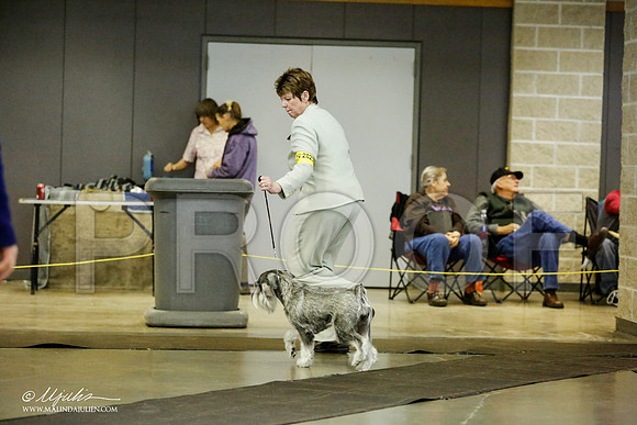 _RH_1888-BeltonJan2015IABCA-HR3