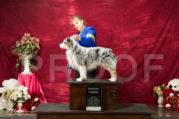 _ST_3040-BeltonJan2015IABCA-HR3