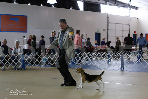 Beag1019LR