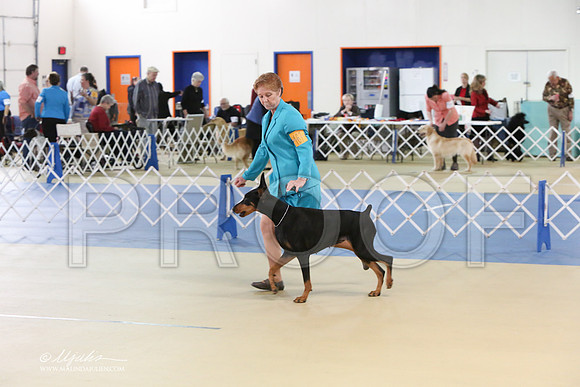 Dobe1809LR