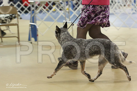 ACD0534LR