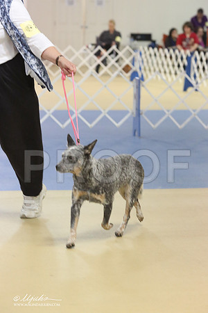 ACD9938LR