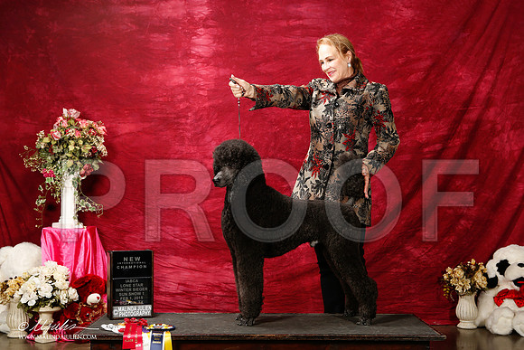 _ST_3001-2-BeltonJan2015IABCA-HR3