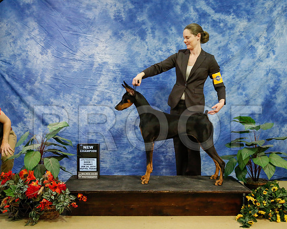 dobe-6879-HtoJan14-HR