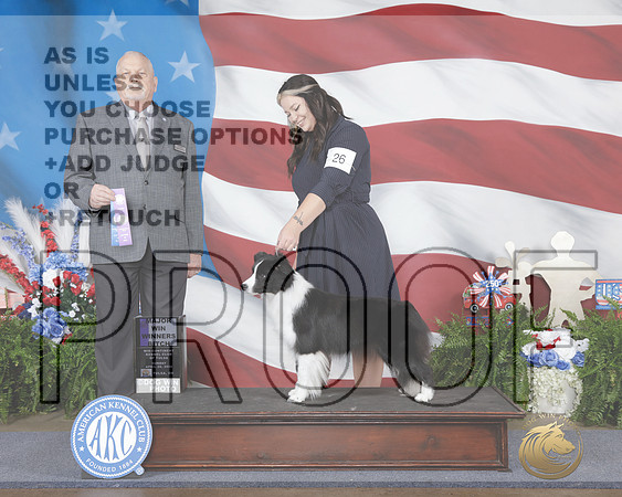Border Collie #26 Sun WB M Judge Cledith Wakefield-_WP_2886e_Tulsa 2026-HR3
