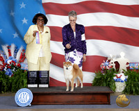 Ann Dickens Johnson Tulsa 2026