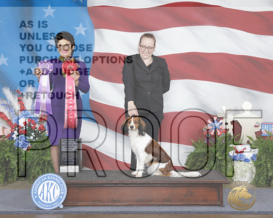 Nenderlandes Kooikerhonjes #6 Sat WB BOS M Judge Linda Clark R-_WP_2817e_Tulsa 2026-HR3