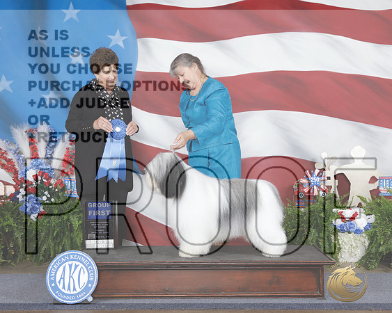 Polish Lowlad Sheepdog #11 Fri G1 Judge Ann Yuhasz-_WP_0625e_Tulsa 2026-HR3