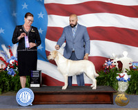 Bonnie Hubert Tulsa 2026