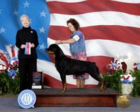 Christine Nidd Tulsa 2026