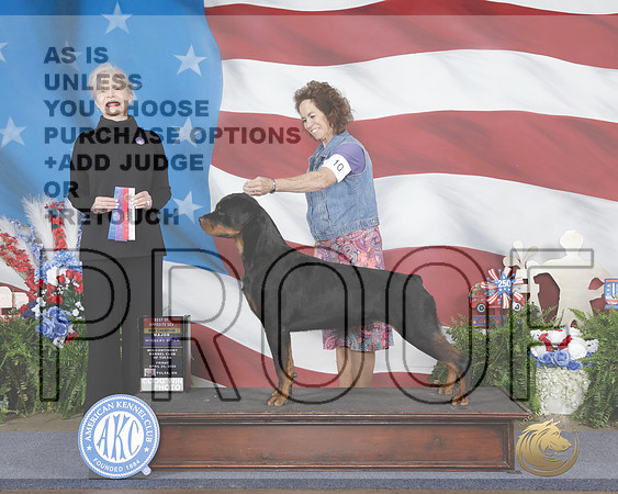 Rottweiler #10 Fri WB BOS NCH Judge Cynthia Woodward-_WP_0026e_Tulsa 2026-HR3
