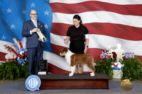Corrina McIntosh Tulsa 2026