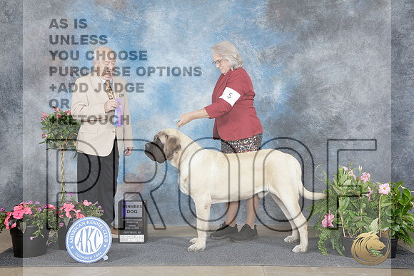 Mastiff #5 Sun WD Judge Thomas Nesbitt-_WP_5269e_Fayetteville 2026-HR3