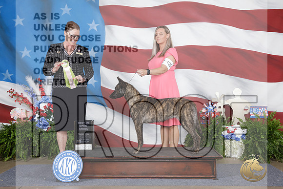 Dutch Shepherd #126 Sun BIOpenShow Judge Sioux Forsyth-Green-_WP_3143e_Tulsa 2026-HR3