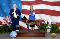 Heather Halloran Tulsa 2026