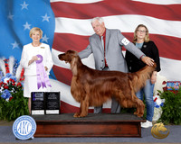 Georgette Emerson Tulsa 2026