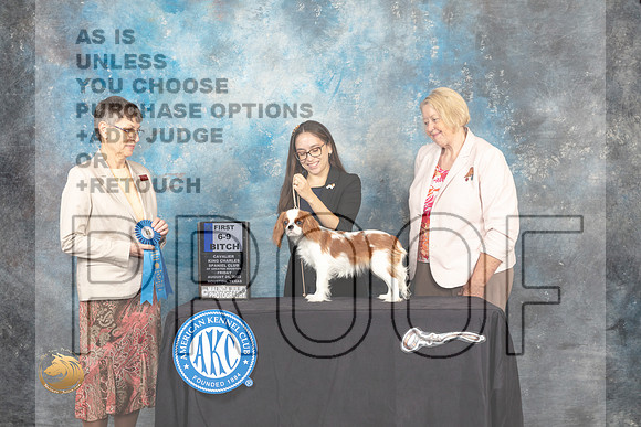 Cavalier King Charles Spaniel #24 Fri 6to91 Judge Donna Buxton_MJ_9701_HstnTOY_2022_HR3