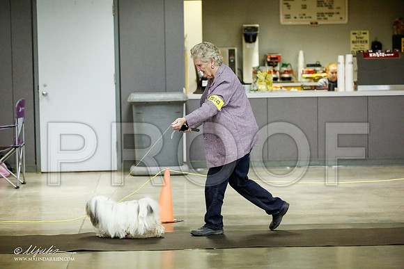 _JJ_5411-BeltonJan2015IABCA-HR3
