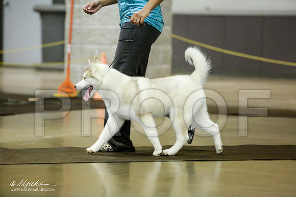 _RH_1786-BeltonJan2015IABCA-HR3